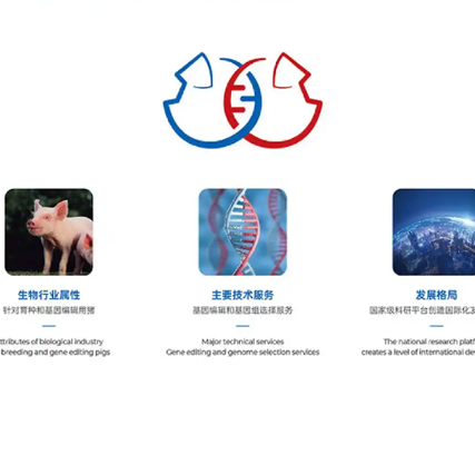 如何巧妙融合不同元素进行Logo设计？
