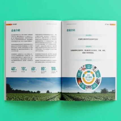 画册这样设计排版,立马高级